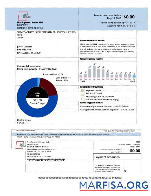 Printable USA AEP Texas electricity utility bill template in Word and PDF format